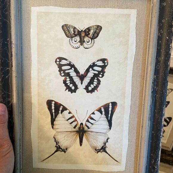 Creative Co-Op Distressed Antique Look Set of 4 Butterfly-Insect Framed Art - Picture 15 of 15